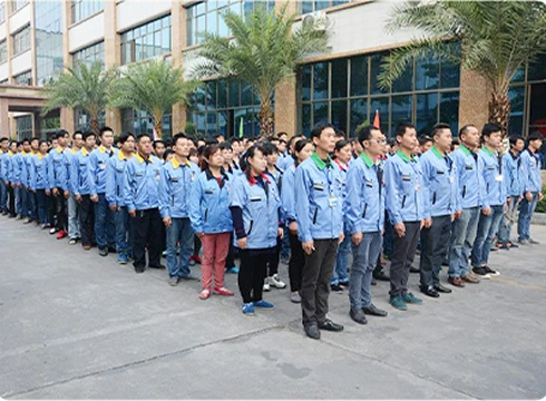 Our Team