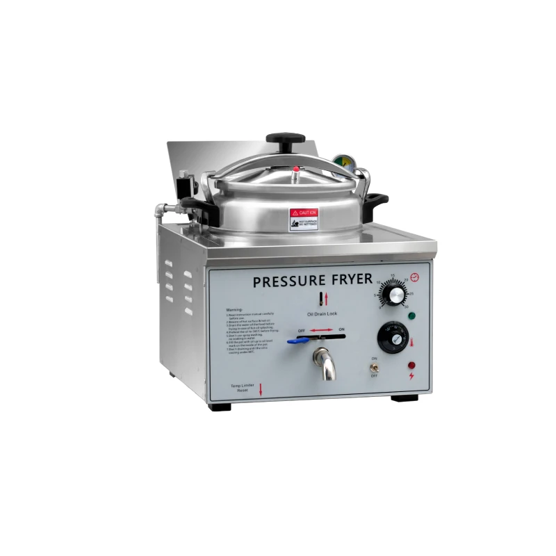 Electric Pressure Fryer