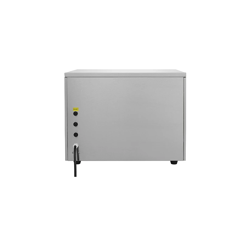 Electric Pizza Oven (2-layer)